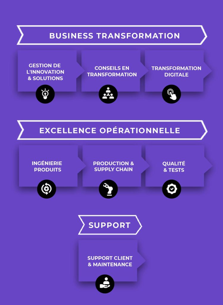 A French infographic with three sections: Business Transformation, Operational Excellence, and Support, each showing related services such as innovation, consulting, digital transformation, supply chain, quality, and client support.